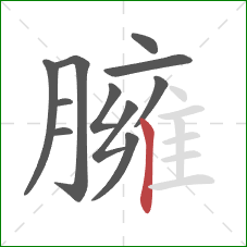 臃的笔顺第11画:竖 臃的笔顺第11画:竖