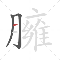 臃的笔顺第3画:横 臃的笔顺第3画:横