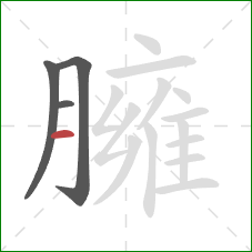 臃的笔顺第4画:横 臃的笔顺第4画:横