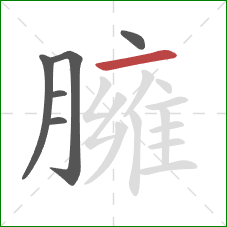 臃的笔顺第6画:横 臃的笔顺第6画:横