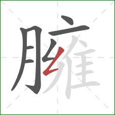 臃的笔顺第8画:撇折 臃的笔顺第8画:撇折