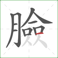 臉的笔顺第13画：横