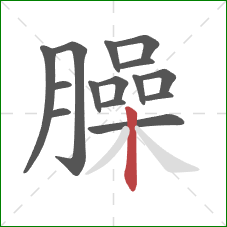 臊的笔顺第15画：竖