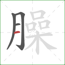 臊的笔顺第4画：横