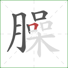 臊的笔顺第9画：横折