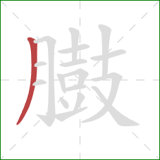 臌的笔顺第1画:撇 臌的笔顺第1画:撇