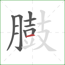 臌的笔顺第10画:横 臌的笔顺第10画:横