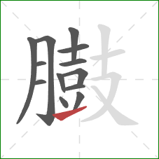 臌的笔顺第13画:提 臌的笔顺第13画:提