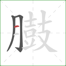 臌的笔顺第3画:横 臌的笔顺第3画:横