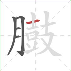 臌的笔顺第5画:横 臌的笔顺第5画:横