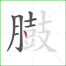 臌的笔顺第8画:竖 臌的笔顺第8画:竖