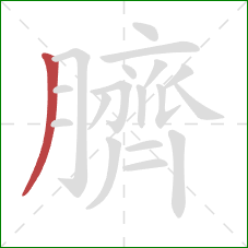 臍的笔顺第1画:撇 臍的笔顺第1画:撇