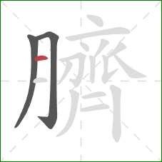 臍的笔顺第3画:横 臍的笔顺第3画:横