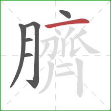 臍的笔顺第6画:横 臍的笔顺第6画:横