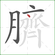 臍的笔顺第7画:点 臍的笔顺第7画:点