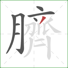 臍的笔顺第8画:撇 臍的笔顺第8画:撇