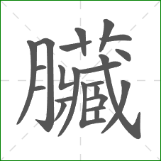 臟的部首 臟的部首