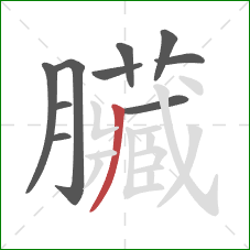 臟的笔顺第10画:竖折/竖弯 臟的笔顺第10画:竖折/竖弯