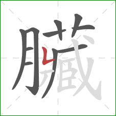 臟的笔顺第11画:横 臟的笔顺第11画:横