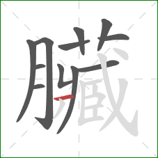 臟的笔顺第12画:撇 臟的笔顺第12画:撇