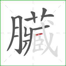 臟的笔顺第14画:竖 臟的笔顺第14画:竖