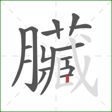 臟的笔顺第18画:竖折/竖弯 臟的笔顺第18画:竖折/竖弯