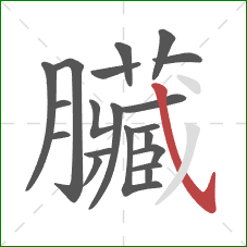 臟的笔顺第20画:撇 臟的笔顺第20画:撇