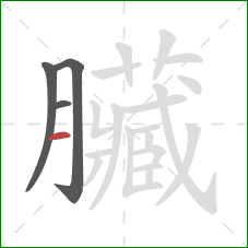 臟的笔顺第4画:横 臟的笔顺第4画:横