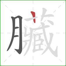 臟的笔顺第5画:横 臟的笔顺第5画:横