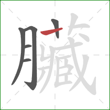 臟的笔顺第6画:竖 臟的笔顺第6画:竖