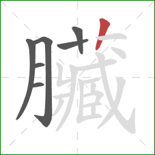 臟的笔顺第7画:竖 臟的笔顺第7画:竖