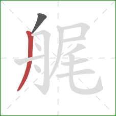 艉的笔顺第2画：撇