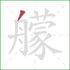 艨的笔顺第1画:撇 艨的笔顺第1画:撇