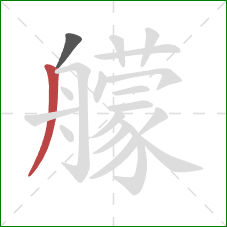 艨的笔顺第2画:撇 艨的笔顺第2画:撇