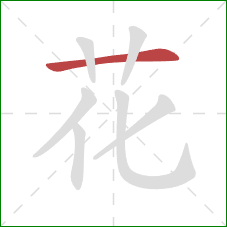 花的笔顺第1画：横