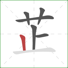 芷的笔顺第6画：竖