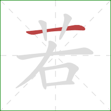 若的笔顺第1画：横