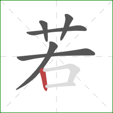 若的笔顺第6画：竖