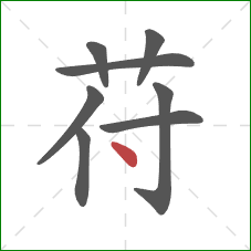 苻的笔顺第8画：点