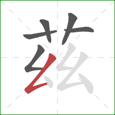 茲的笔顺第6画：撇折