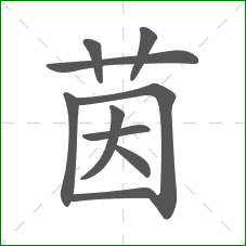 茵的部首 茵的部首