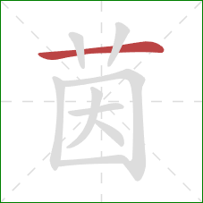 茵的笔顺第1画:横 茵的笔顺第1画:横