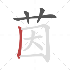 茵的笔顺第4画:竖 茵的笔顺第4画:竖