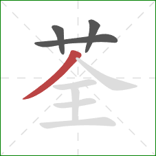 荃的笔顺第4画：撇