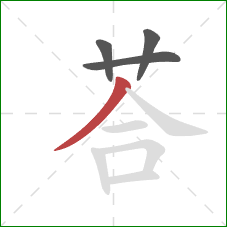 荅的笔顺第4画：撇
