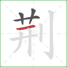 荆的笔顺第4画：横