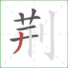 荆的笔顺第6画：撇