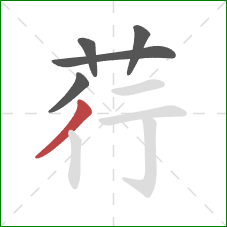 荇的笔顺第5画:撇 荇的笔顺第5画:撇
