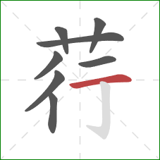 荇的笔顺第8画:横 荇的笔顺第8画:横