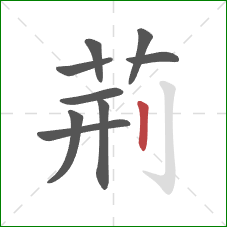 荊的笔顺第9画：竖